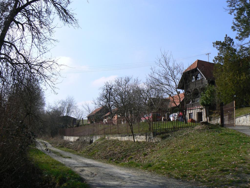 Гостевой дом Country House Stoljetna Vila Seona Экстерьер фото