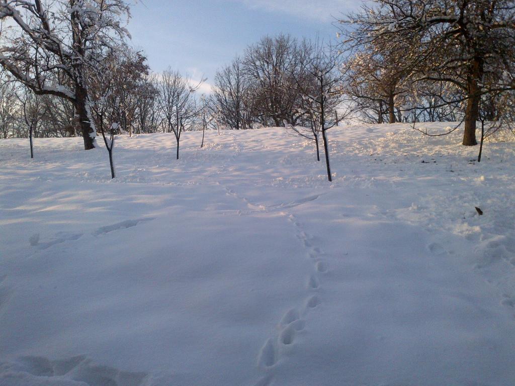 Country House Stoljetna Vila Seona Экстерьер фото