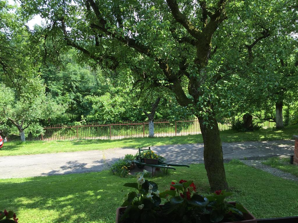 Country House Stoljetna Vila Seona Экстерьер фото