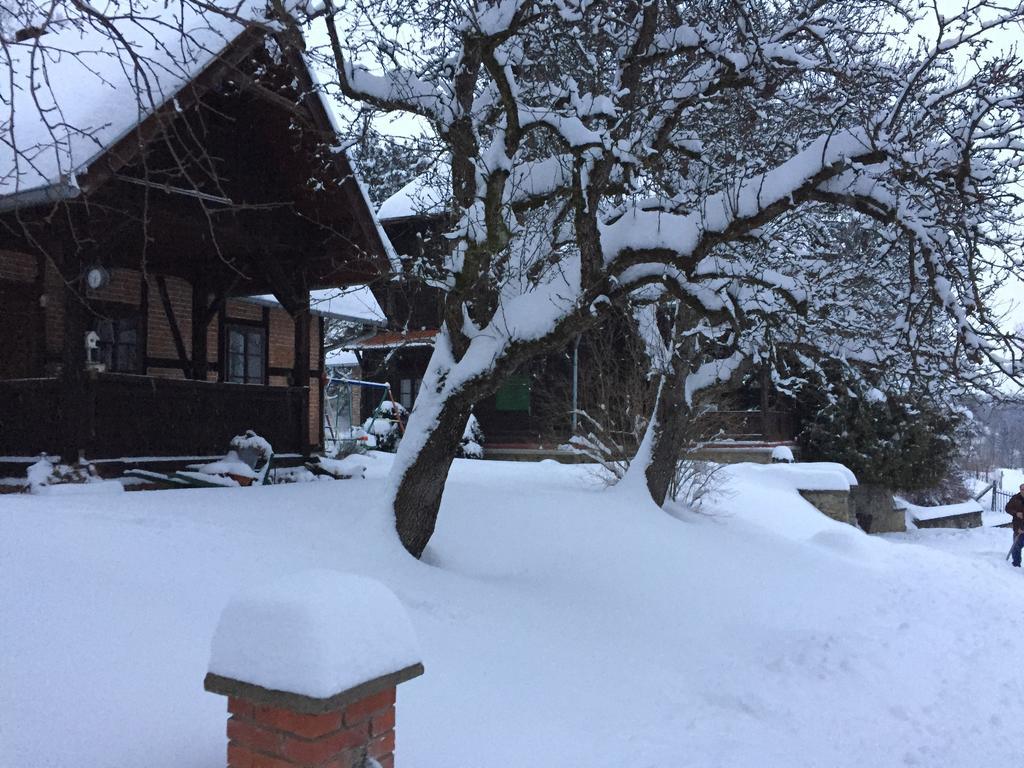 Country House Stoljetna Vila Seona Экстерьер фото
