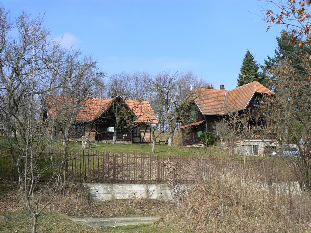 Country House Stoljetna Vila Seona Экстерьер фото